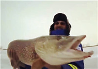 《钓友原创钓鱼视频》 冰钓中收获巨型大狗鱼
