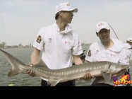《钓点大对决》第52集 天津静海垂钓园挑战巨型鲟鱼(2)