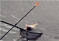 《垂钓对象鱼视频》 男子连竿上鱼终于爆护