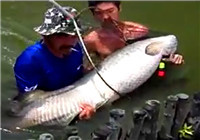《钓友原创钓鱼视频》 男子江河钓到庞大巨骨舌鱼