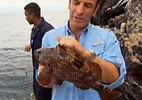 《极限钓鱼》第四季 第1集 英国阿森松岛