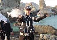 《江湖行钓鱼视频》141 韩国济州岛海钓之旅(下)