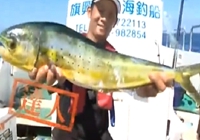 《宝岛渔很大》 20141228 狂海追缉港都钓鱼视频