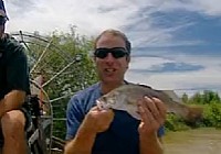 《极限钓鱼》第二季 第4集 澳洲肺鱼鲹鱼