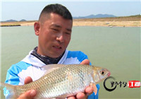 《野钓江湖》第22期 大广坝水库钓获特有鱼种