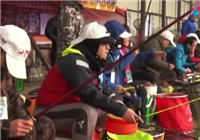 《鱼资渔味》 20160129 北京冬钓大棚百人参赛