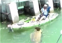《钓友原创钓鱼视频》 钓到一尾比船还要大的石斑鱼
