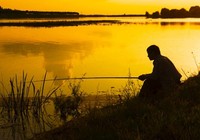 《钩尖江湖》第1集 传统手工竹竿到现代碳素钓竿的演变
