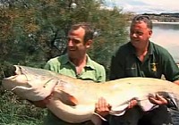 《极限钓鱼》第一季 第3集 南非大麻哈鱼