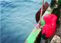 《鱼资渔味》 20160224 东海体验铁板钓法