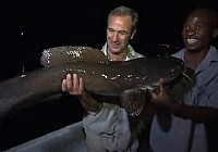 《极限钓鱼》第三季 第1集 非洲赞比亚夜钓大鱼
