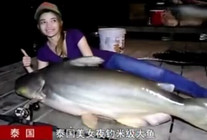 《鱼资渔味》20150814 泰国美女夜钓多尾米级大鱼