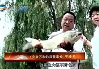 《钓大鱼不是梦》王桂龙手竿钓获20斤大草鱼