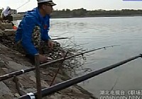 《职场渔乐圈》王桂龙湖库秋钓草鱼