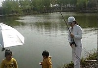 《钓友原创钓鱼视频》美女海竿钓大草鱼