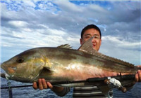 《鱼资渔味》 20160405 澳大利亚阿布罗霍斯群岛探钓之旅