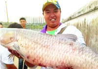 《鱼资渔味》20161230 杨凌峰黑坑意外获巨青