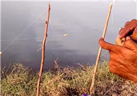 《垂钓对象鱼视频》巴基斯坦钓友独特钓鱼方式