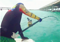 《鱼资渔味》20170119 陈涛带队探钓迈阿密 钓获400磅黑背鲨