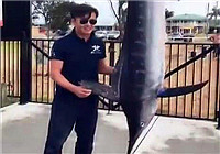 《鱼资渔味》20170214 陈飞澳洲出海拖钓中获322磅马林鱼