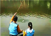 《垂钓对象鱼视频》 春季黑坑钓鲤鱼的技巧和经验
