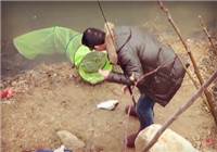 《垂钓对象鱼视频》 手竿传统钓爆连大鲫鱼